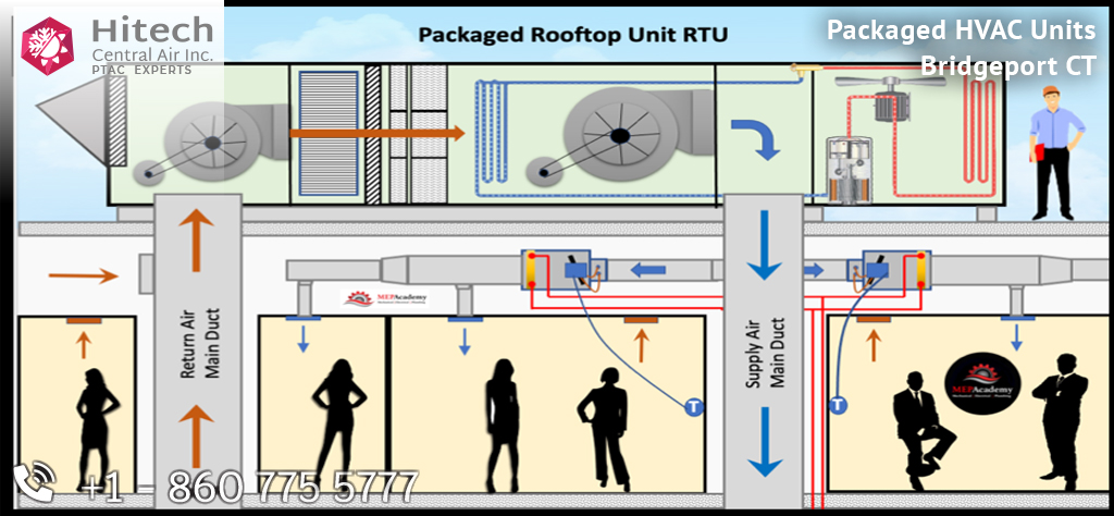 Packaged HVAC Units